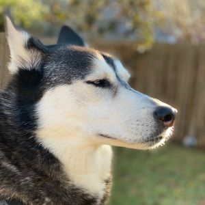 Meet your Posher, Caryne